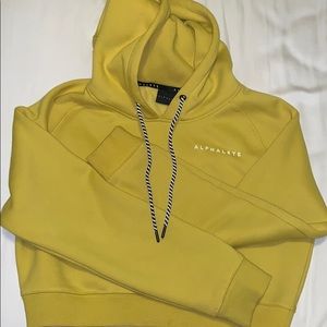 Alphalete Cropped Hoodie